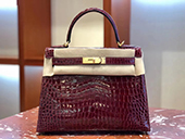 2024Vi W HERMES GXRs[ P[ 25cm OD@uS[j@NR_C jeBJX}bg@S[h kelly25020