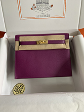Hi GXX[p[Rs[@HERMES P[_X 22cm@All@Go[J[@S[h Kellydanse2016