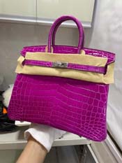 �G�����X���X�̃X�[�p�[�R�s�[ HERMES�@�o�[�L��25�@���[�Y�V�F�w���U�[�h�@�N���R�_�C���@�j���e�B�J�X�@�V���o�[����yG���z