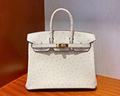 2026�V��G�����X�R�s�[ �������� HERMES�o�[�L��25�@�p�[�V���}���@�I�[�X�g���b�`�@�S�[���h����